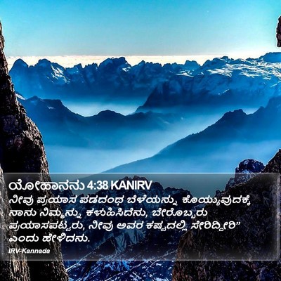 ಯೋಹಾನನು 4:38 KANIRV Bible Verse Image