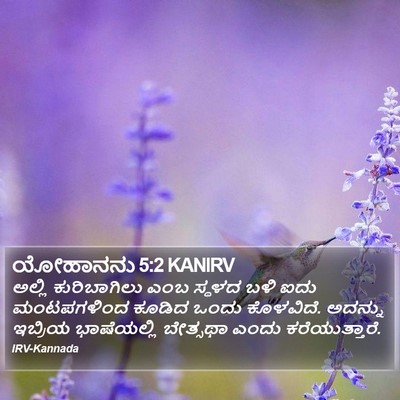 ಯೋಹಾನನು 5:2 KANIRV Bible Verse Image