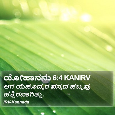 ಯೋಹಾನನು 6:4 KANIRV Bible Verse Image