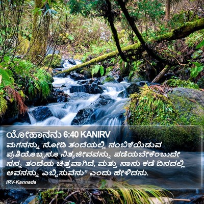 ಯೋಹಾನನು 6:40 KANIRV Bible Verse Image