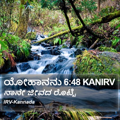 ಯೋಹಾನನು 6:48 KANIRV Bible Verse Image