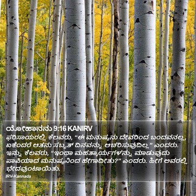 ಯೋಹಾನನು 9:16 KANIRV Bible Verse Image
