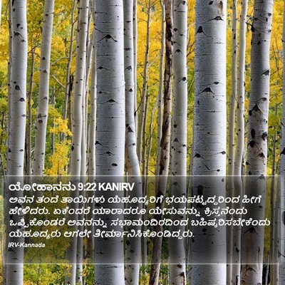 ಯೋಹಾನನು 9:22 KANIRV Bible Verse Image