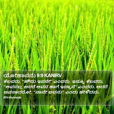 ಯೋಹಾನನು 9:9 KANIRV Bible Verse Image