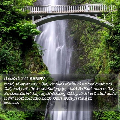 ರೂತಳು 2:11 KANIRV Bible Verse Image