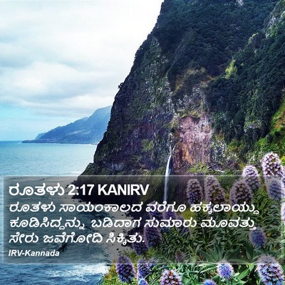 ರೂತಳು 2:17 KANIRV Bible Verse Image
