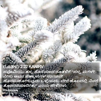 ರೂತಳು 2:22 KANIRV Bible Verse Image