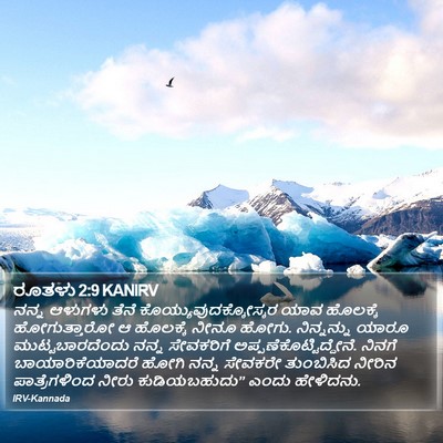 ರೂತಳು 2:9 KANIRV Bible Verse Image