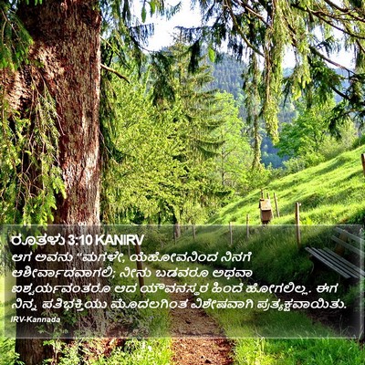 ರೂತಳು 3:10 KANIRV Bible Verse Image