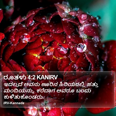 ರೂತಳು 4:2 KANIRV Bible Verse Image