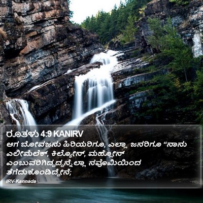 ರೂತಳು 4:9 KANIRV Bible Verse Image