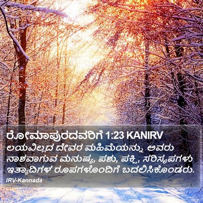 ರೋಮಾಪುರದವರಿಗೆ 1:23 KANIRV Bible Verse Image
