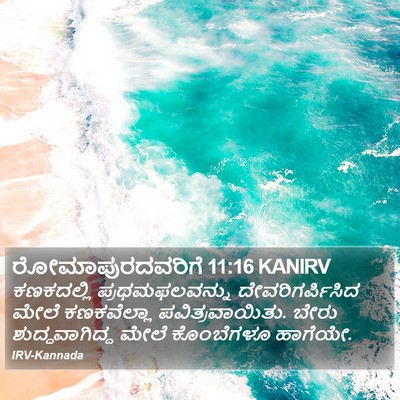 ರೋಮಾಪುರದವರಿಗೆ 11:16 KANIRV Bible Verse Image