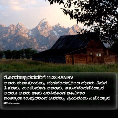 ರೋಮಾಪುರದವರಿಗೆ 11:28 KANIRV Bible Verse Image