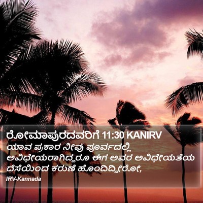 ರೋಮಾಪುರದವರಿಗೆ 11:30 KANIRV Bible Verse Image