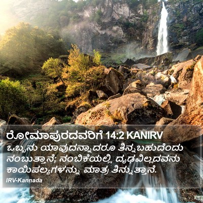 ರೋಮಾಪುರದವರಿಗೆ 14:2 KANIRV Bible Verse Image