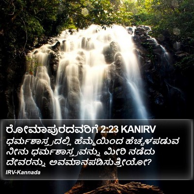 ರೋಮಾಪುರದವರಿಗೆ 2:23 KANIRV Bible Verse Image