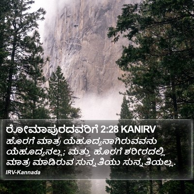 ರೋಮಾಪುರದವರಿಗೆ 2:28 KANIRV Bible Verse Image