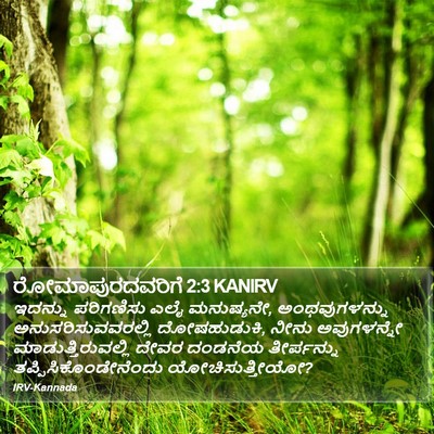 ರೋಮಾಪುರದವರಿಗೆ 2:3 KANIRV Bible Verse Image