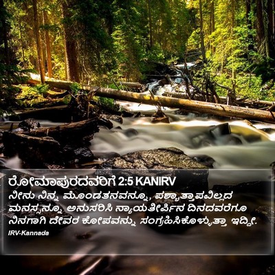 ರೋಮಾಪುರದವರಿಗೆ 2:5 KANIRV Bible Verse Image