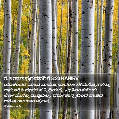 ರೋಮಾಪುರದವರಿಗೆ 3:20 KANIRV Bible Verse Image