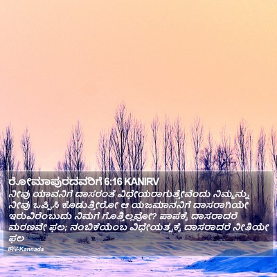 ರೋಮಾಪುರದವರಿಗೆ 6:16 KANIRV Bible Verse Image