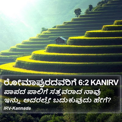 ರೋಮಾಪುರದವರಿಗೆ 6:2 KANIRV Bible Verse Image