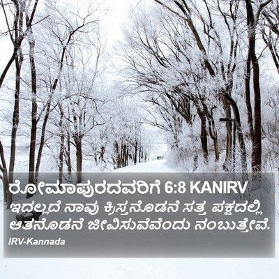 ರೋಮಾಪುರದವರಿಗೆ 6:8 KANIRV Bible Verse Image