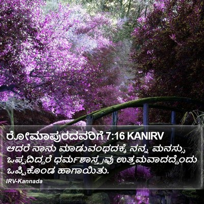 ರೋಮಾಪುರದವರಿಗೆ 7:16 KANIRV Bible Verse Image