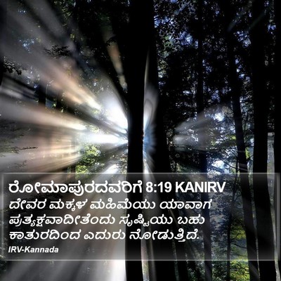 ರೋಮಾಪುರದವರಿಗೆ 8:19 KANIRV Bible Verse Image