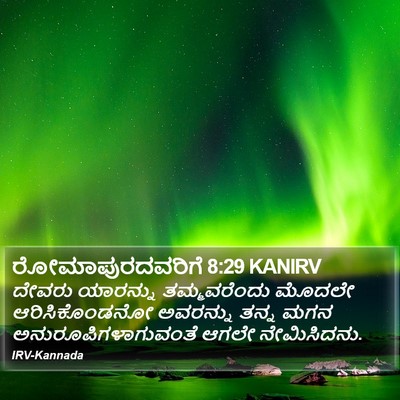 ರೋಮಾಪುರದವರಿಗೆ 8:29 KANIRV Bible Verse Image