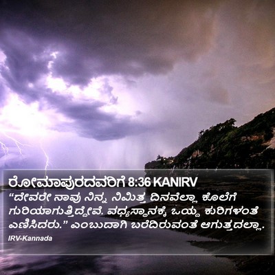 ರೋಮಾಪುರದವರಿಗೆ 8:36 KANIRV Bible Verse Image