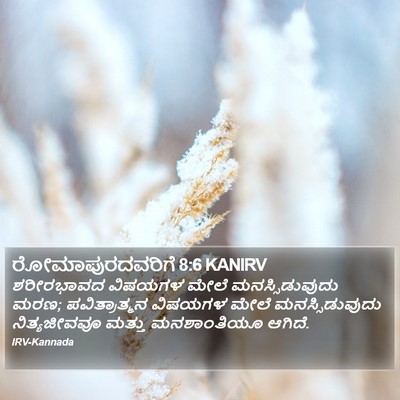ರೋಮಾಪುರದವರಿಗೆ 8:6 KANIRV Bible Verse Image