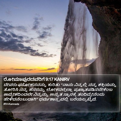 ರೋಮಾಪುರದವರಿಗೆ 9:17 KANIRV Bible Verse Image