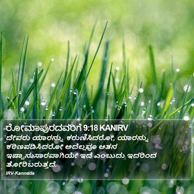ರೋಮಾಪುರದವರಿಗೆ 9:18 KANIRV Bible Verse Image