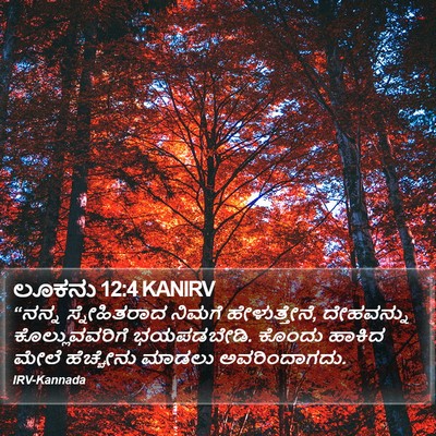 ಲೂಕನು 12:4 KANIRV Bible Verse Image
