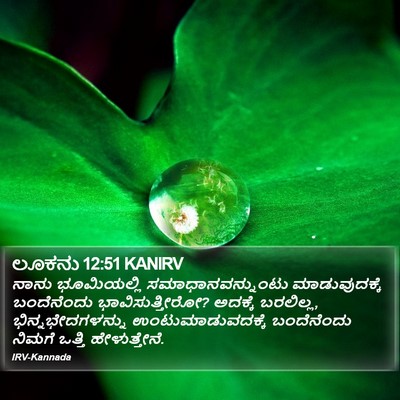 ಲೂಕನು 12:51 KANIRV Bible Verse Image