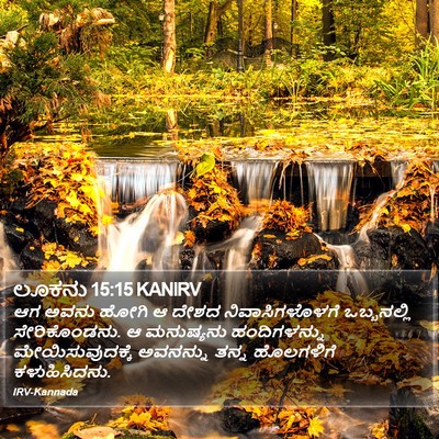 ಲೂಕನು 15:15 KANIRV Bible Verse Image