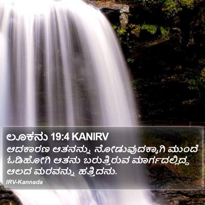 ಲೂಕನು 19:4 KANIRV Bible Verse Image