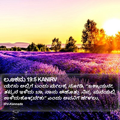 ಲೂಕನು 19:5 KANIRV Bible Verse Image
