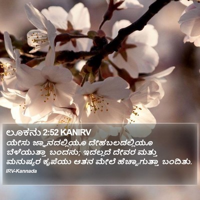 ಲೂಕನು 2:52 KANIRV Bible Verse Image