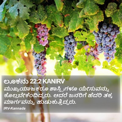 ಲೂಕನು 22:2 KANIRV Bible Verse Image