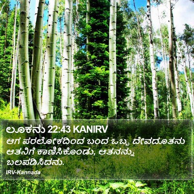 ಲೂಕನು 22:43 KANIRV Bible Verse Image