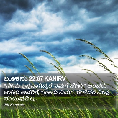 ಲೂಕನು 22:67 KANIRV Bible Verse Image