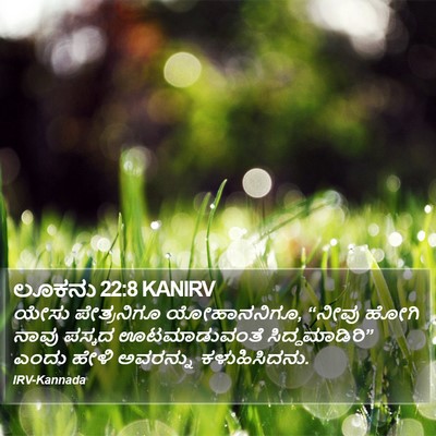 ಲೂಕನು 22:8 KANIRV Bible Verse Image