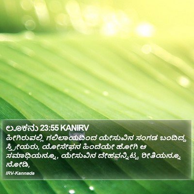 ಲೂಕನು 23:55 KANIRV Bible Verse Image