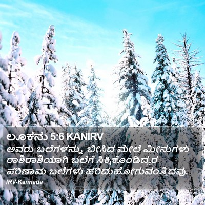 ಲೂಕನು 5:6 KANIRV Bible Verse Image