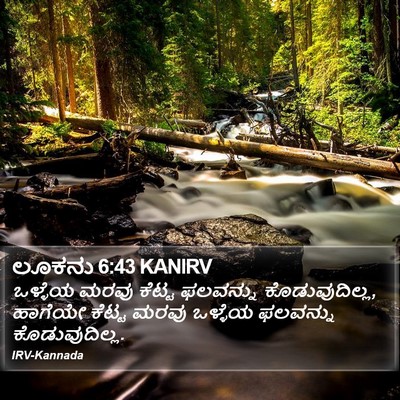 ಲೂಕನು 6:43 KANIRV Bible Verse Image