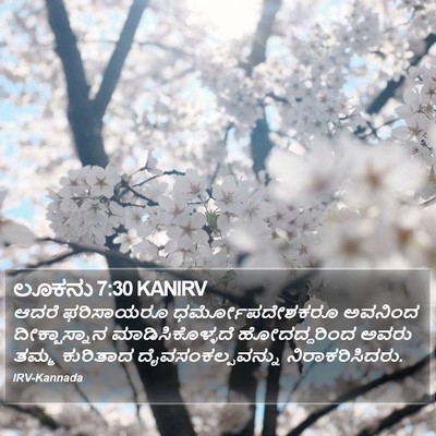 ಲೂಕನು 7:30 KANIRV Bible Verse Image