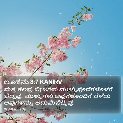 ಲೂಕನು 8:7 KANIRV Bible Verse Image
